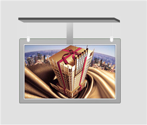 55 inch (double-sided hanging style)